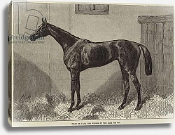 Постер Fille de l'Air, the Winner of The Oaks for 1864
