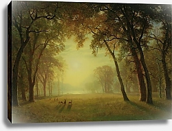 Постер Бирштад Альберт Олень на поляне, Йосемити