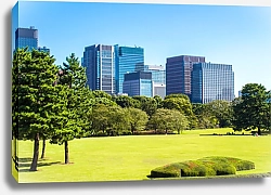 Постер  Императорский дворец Восточные Сады в Токио, Япония