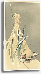 Постер Косон Охара Songbird at hay bundle