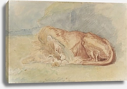 Постер Сен-Марсель-Хижина Чарльз Спящий лев