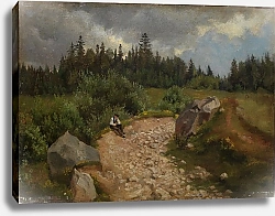 Постер Тома Ханс Каменистая тропа на опушке леса с сидящим мужчиной