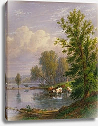 Постер Миллер Уильям Рикарби Untitled