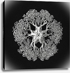 Постер Vintage brittle star