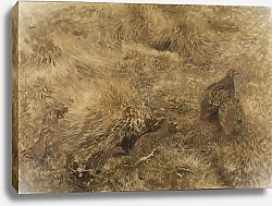 Постер Лильефорс Бруно Осенний пейзаж с куропатками