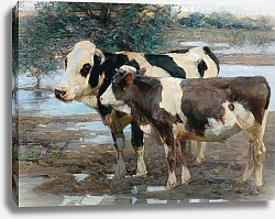 Постер Зюгеь Генрих Две Коровы У Воды