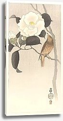 Постер Косон Охара Songbird and flowering camellia