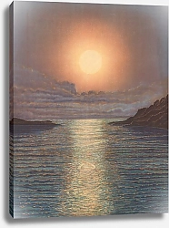 Постер Мюллер Б. Midnight Sun