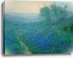 Постер Ондердонк Юлиан Bluebonnets at Dawn, North of San Antonio