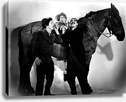 Постер Marx Brothers (A Day At The Races) 4