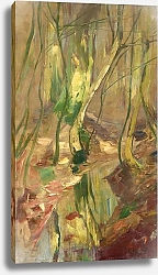 Постер Хагемайстер Карл Waldlandschaft mit Bachlauf