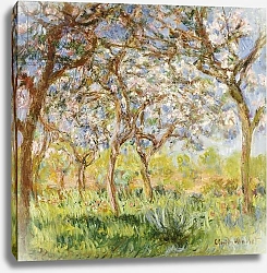 Постер Моне Клод (Claude Monet) Spring at Giverny