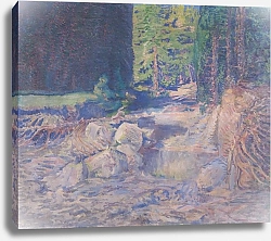Постер Рот Август Дремлющий дикий ручей