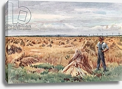 Постер Коппинг Харольд Along the Wheet Fields of Manitoba