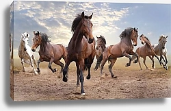 Постер Табун лошадей
