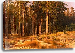 Постер Шишкин Иван Роща мачтовых деревьев