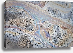 Постер Морские ракушки на пляже