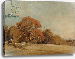 Постер Констебль Джон (John Constable) An Autumnal Landscape at East Bergholt, c.1805-08