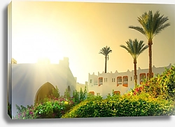 Постер Утро на курорте, Египет