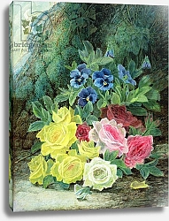 Постер Клер Оливер Roses 2