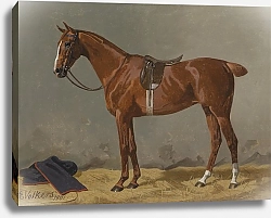 Постер Волкерс Эмиль Коричневый оседланный в конюшне