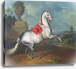 Постер Гамильтон Йоханн The Dapple Grey Galloping