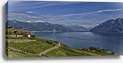 Постер Швейцария. Магическая панорама виноградников Лаво и Женевского озера
