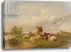 Постер Купер Томас Сидни On Canterbury Meadows, 1861