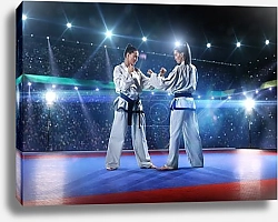 Постер Женское карате