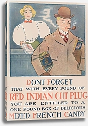 Постер Неизвестен Red Indian cut plug