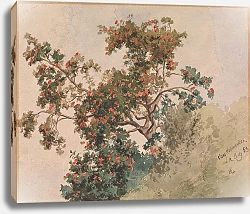 Постер Гуде Ханс Рогнебертр, Ванг