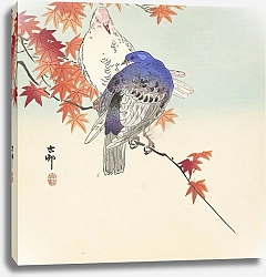 Постер Косон Охара Two pigeons on autumnal branch
