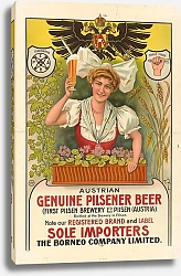 Постер Заше Теодор Austrian Genuine Pilsener Beer