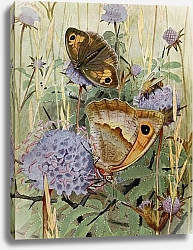 Постер Робер Поль-Андре Миртил