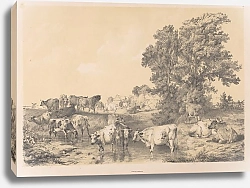 Постер Купер Томас Сидни Пейзаж с коровами