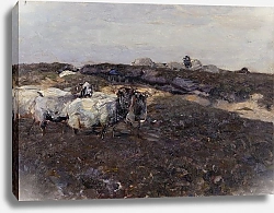 Постер Зюгеь Генрих Овцы на вересковой пустоши