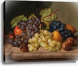 Постер Сейтц Йоханн Still Life with Grapes and Pears