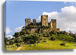 Постер Испания. Кордоба. Альмодовар-дель-Рио