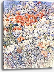 Постер Хассам Чильд Островной сад