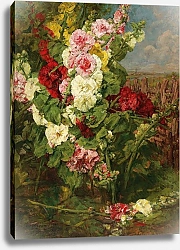 Постер Жаннен Жорж Stockrosen