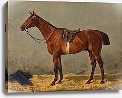 Постер Волкерс Эмиль Оседланный гнедой конь в конюшне