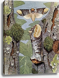 Постер Робер Поль-Андре Буцефальная Фалера