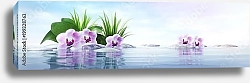 Постер Орхидеи с камнями в озере