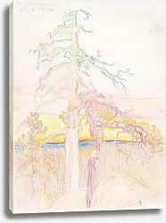 Постер Ярнефельт Ээро Сосна в дикой местности