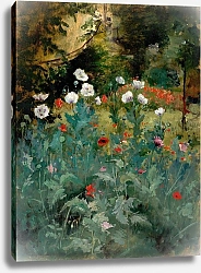 Постер Эндрюс Элифале Маки