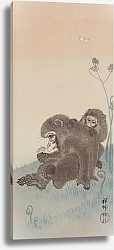 Постер Косон Охара Two monkeys with butterfly