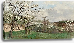 Постер Дамойе Пьер Эммануэль Arbres en fleurs