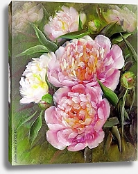 Постер Романтические розовые пионы 2
