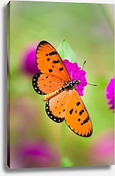 Постер Яркая оранжевая бабочка на розовом цветке 