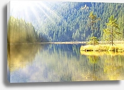 Постер Дерево на острове среди озера, Норвегия